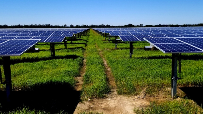 Field with solar panels, Chicot Solar Energy Center, Arkansas